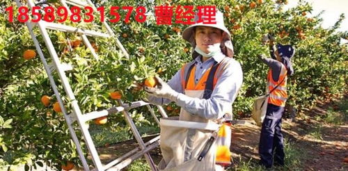 泰安出國勞務(wù) 新西蘭打工選擇與廣州勞務(wù)服務(wù)介紹